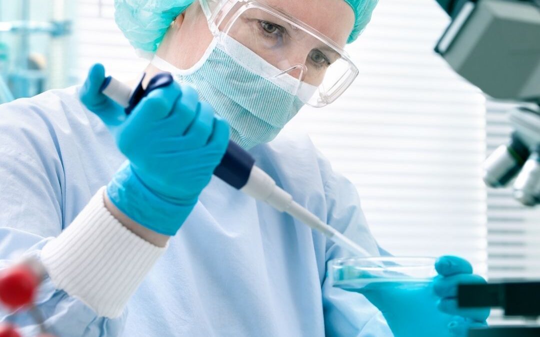 Laboratorio